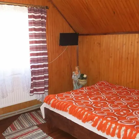 V Gorakh