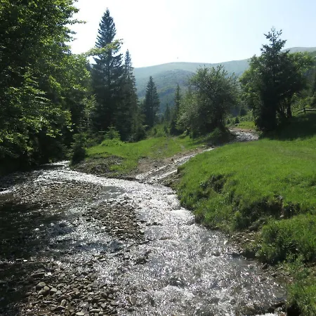 V Gorakh Izki
