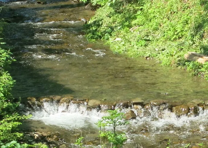 Orman Evi V Gorakh
