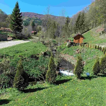 V Gorakh Orman Evi *