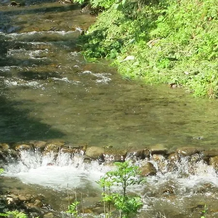 Orman Evi V Gorakh