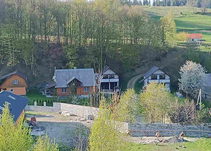 V Gorakh Izki