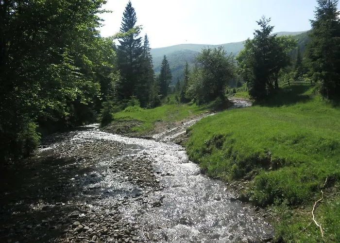 V Gorakh Izki